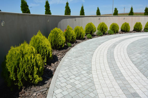 Best Local Driveway Pavers  in Valdez, AK
